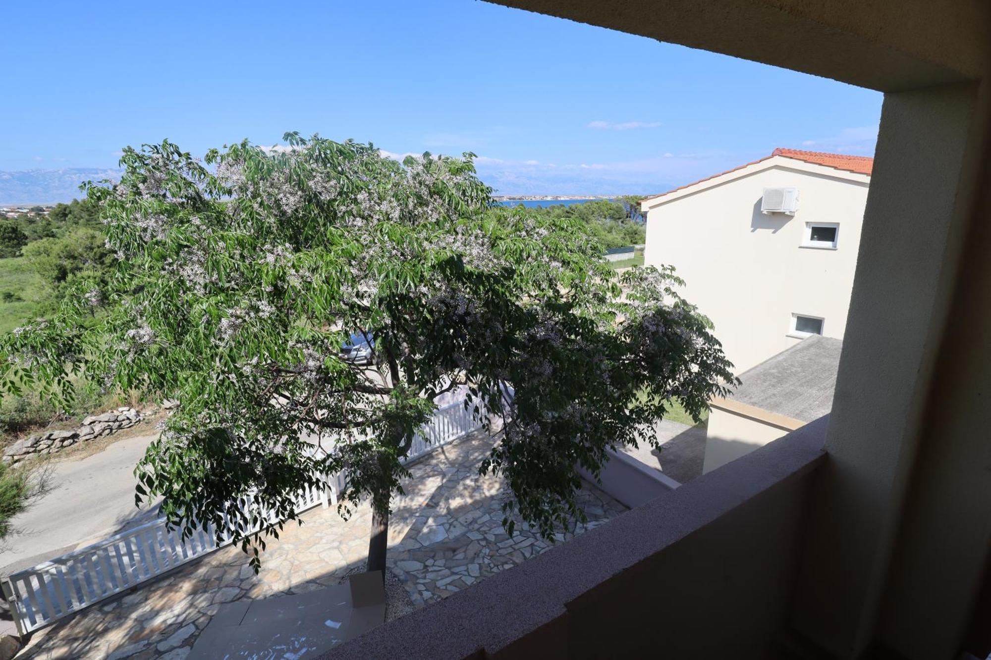 Apartman ˝Abaza˝ ヴィル エクステリア 写真